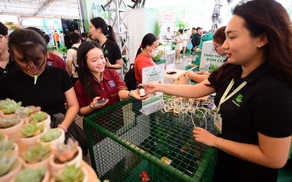 'Người tiêu dùng muốn nghe câu chuyện xanh sạch đằng sau các sản phẩm'