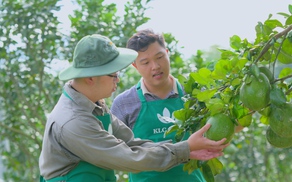 Nông nghiệp Việt Nam vươn toàn cầu: Đừng chờ lớn mới đầu tư, hãy đầu tư để trở nên lớn