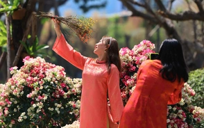 Lí do năm nay (và nhiều năm nữa), ngày cuối năm rơi vào ngày 29 thay vì 30 Tết?