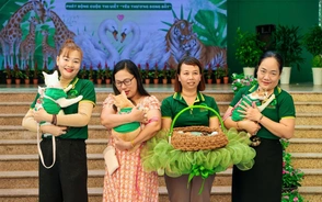 Thảo cầm viên làm “mẹ đỡ đầu” cho gia đình 6 em mèo được cứu hộ