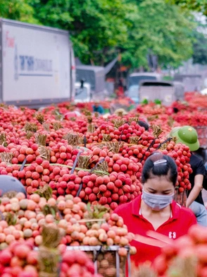 Trắc nghiệm: Tỉnh Bắc Ninh được sáp nhập từ tỉnh nào?