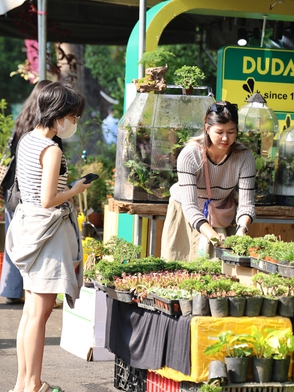 Đến Thảo cầm viên Sài Gòn nghe lá hoa kể chuyện