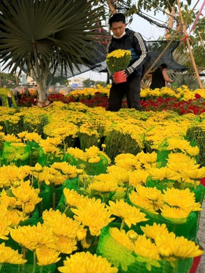 Người dân tham quan mua sắm sớm tại chợ hoa xuân 'Trên bến dưới thuyền'