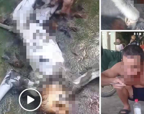 Lại "giết khỉ ăn óc khoe phây": nghĩ sao đây?!