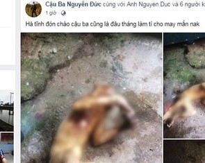 Thêm vụ giết khỉ khoe Facebook gây phẫn nộ