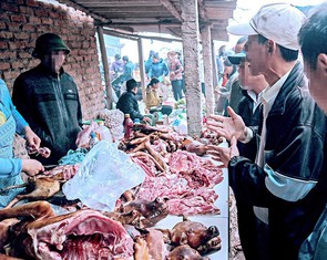 Hà Nội 'nói không' với thịt chó?