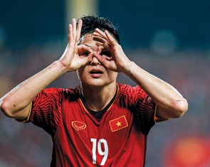 Ươm mầm, trồng cây và hái quả