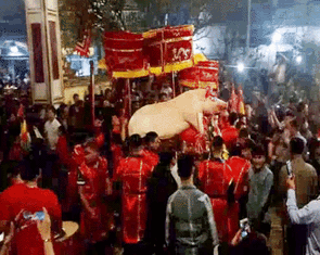 Video độc đáo lễ hội rước 'ông lợn' trong đêm