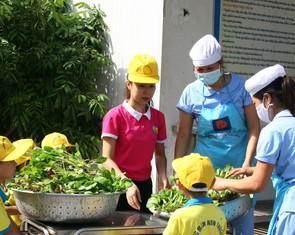 Học sinh nhiễm sán lợn, Bộ yêu cầu sở GD-ĐT Bắc Ninh kiểm tra, báo cáo
