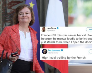 Con mèo Brexit của bà Bộ trưởng Loiseau