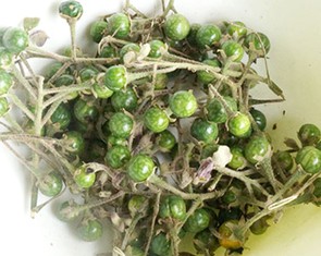 Thương nhớ cà đắng núi rừng