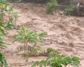 Người đàn ông bị lũ cuốn trôi khi cố cứu heo ở Thanh Hóa