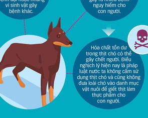 Thịt chó: Mất kiểm soát khâu giết mổ, dịch bệnh