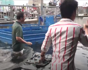Video: Rung chấn ép cọc làm kè ngăn triều vỡ ở tuyến Bình Đông
