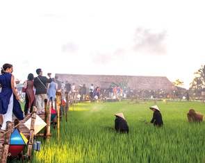 Đi tiệc thưởng thức cánh đồng
