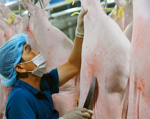 Giá heo hơi lao dốc, chỉ còn 60.000 - 70.000 đồng/kg