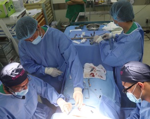 'Đụng dao kéo', khối u ung thư bùng phát, di căn nhanh hơn?