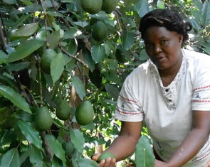 Phát triển 'vàng xanh' đụng độ với thiên nhiên hoang dã ở Kenya