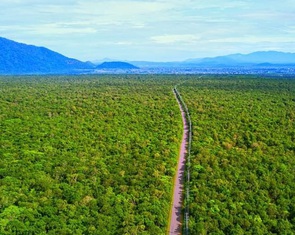 Về Cần Giờ trải nghiệm bình yên bên rìa thành phố