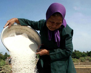 Bài toán của Mẹ