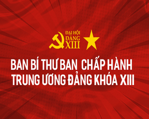 5 ủy viên Ban bí thư Trung ương Đảng khóa XIII