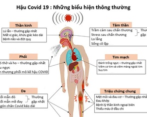 Ai dễ mắc xơ phổi hậu COVID, di chứng này có nguy hiểm không?