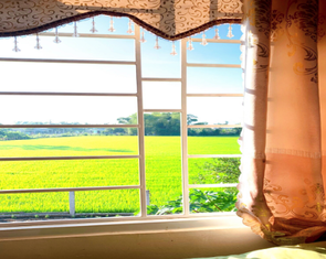 Cuộc thi 'Nhà tôi - Mái ấm': Bình yên nơi trở về...