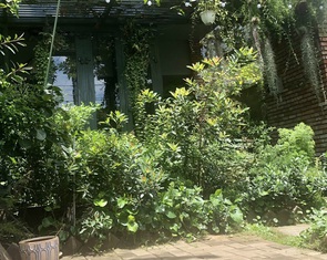 Cuộc thi 'Nhà tôi - Mái ấm': Sân nhà của miền xanh và nắng ngời