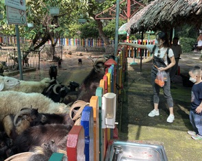 Ngày đầu Thảo cầm viên mở cửa trở lại, người dân ‘rần rần’ tới ủng hộ