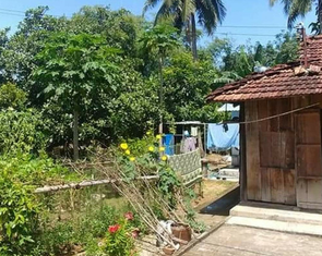 Liệu rằng ngoại có còn khỏe để chờ đợi được cái Tết năm sau?