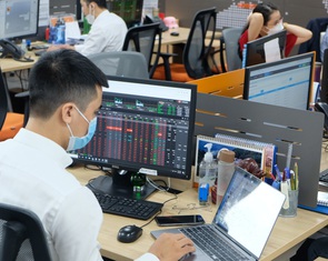 Cổ phiếu 'họ FLC' bị bán ồ ạt nhưng không người mua