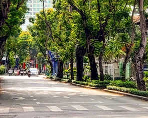 Sài Gòn bao dung - TP.HCM nghĩa tình: Người tình đầu tiên, người yêu cuối cùng