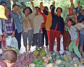 Rau bí miền Trung gửi vô trong nớ