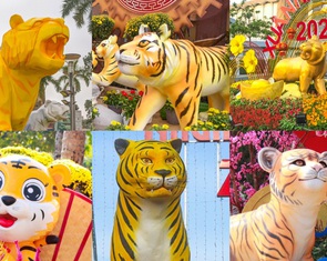 Linh vật hổ khắp cả nước: Oai nghiêm, điệu đà, ngộ nghĩnh đáng yêu đến 'hờn cả thế giới'
