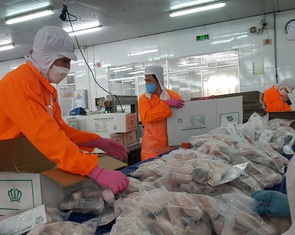 Gà Đông Tảo, heo rừng lai 'cháy hàng'