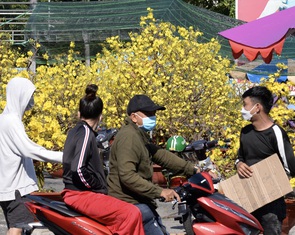 Hoa cắt cành bán chạy, hoa chưng Tết giảm giá sập sàn