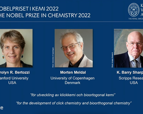 Nobel Hóa học 2022 được trao cho ba nhà khoa học 'gắn kết các phân tử lại với nhau’
