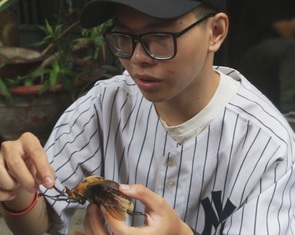 Cuộc thi ‘Lan tỏa năng lượng tích cực 2022’: ‘Báu vật’ bọ cánh cứng của chàng trai ở TP.HCM