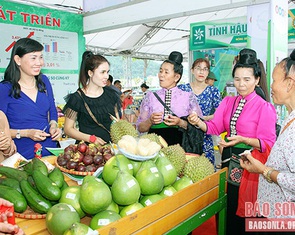 Sơn La hội tụ và phát triển