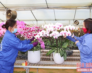 Hướng tới trung tâm phát triển nông nghiệp ứng dụng công nghệ cao vùng Tây Bắc