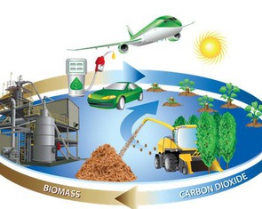Thời điểm vàng để phát triển điện sinh khối tại Việt Nam