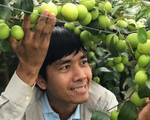 Mô hình nông nghiệp tuần hoàn và kết hợp du lịch sinh thái trải nghiệm nông nghiệp bền vững