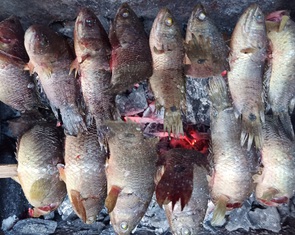 Cá rô kho gừng quá chừng nhớ thương