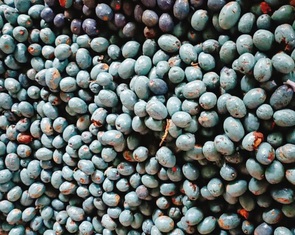 Tro ngon ri trông Tết ni vợ chồng thằng Hải về mà ăn...