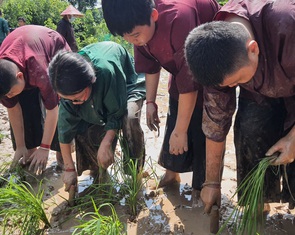 Học sinh khổ vì học: 9 điểm chưa đủ, con phải được 10!