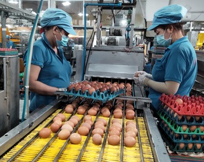 Giá hàng hóa 'chỉ lên không thèm xuống'