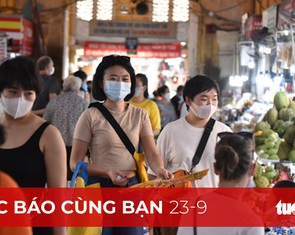 Giá hàng hóa, vận tải bắt đầu giảm