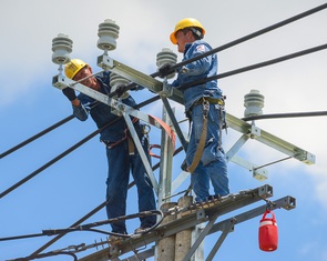 Cơ chế giảm giá điện mờ nhạt?