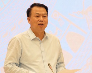 'Nếu khắc phục được vi phạm và có nguyện vọng, cổ phiếu ROS, FLC được giao dịch trở lại'