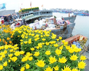 Chở Tết ra đảo Lý Sơn trước khi thời tiết chuyển xấu